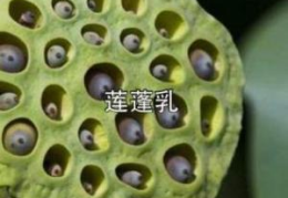 莲蓬乳空手指牙膏脸,网络恶搞与真实疾病的交错