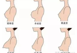 女生的胸下垂,胸下垂的优雅与自信