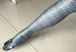 沙雕丝袜图,沙雕图中的另类风情
