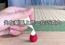 草莓小姐姐教你做火箭,草莓小姐姐带你轻松入门火箭制作